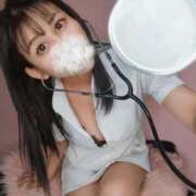 ヒメ日記 2026/02/04 12:18 投稿 神谷和花 ハールブルク