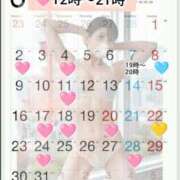 ヒメ日記 2026/02/24 17:51 投稿 神谷和花 ハールブルク