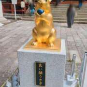 ヒメ日記 2026/03/15 22:56 投稿 神谷和花 ハールブルク