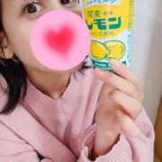 ヒメ日記 2026/03/20 17:00 投稿 神谷和花 ハールブルク