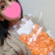 ヒメ日記 2026/04/03 12:03 投稿 神谷和花 ハールブルク