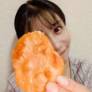 ヒメ日記 2026/04/03 23:01 投稿 神谷和花 ハールブルク