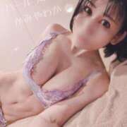 ヒメ日記 2026/04/07 00:55 投稿 神谷和花 ハールブルク