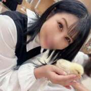 ヒメ日記 2026/04/13 11:56 投稿 神谷和花 ハールブルク