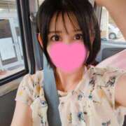 ヒメ日記 2026/04/15 15:37 投稿 神谷和花 ハールブルク