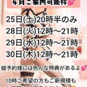 ヒメ日記 2026/04/23 18:56 投稿 神谷和花 ハールブルク