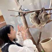 ヒメ日記 2026/05/03 12:28 投稿 神谷和花 ハールブルク