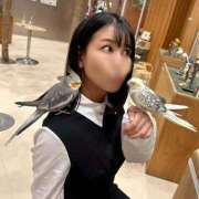 ヒメ日記 2026/05/24 08:01 投稿 神谷和花 ハールブルク
