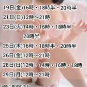 ヒメ日記 2026/06/19 10:01 投稿 神谷和花 ハールブルク