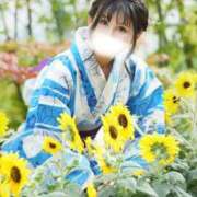 ヒメ日記 2026/06/26 13:10 投稿 神谷和花 ハールブルク