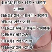 ヒメ日記 2026/06/30 10:01 投稿 神谷和花 ハールブルク