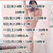 ヒメ日記 2026/07/01 10:02 投稿 神谷和花 ハールブルク