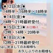 ヒメ日記 2026/08/12 14:00 投稿 神谷和花 ハールブルク