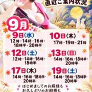 ヒメ日記 2026/09/07 08:01 投稿 神谷和花 ハールブルク