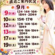ヒメ日記 2026/09/08 11:01 投稿 神谷和花 ハールブルク