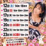 ヒメ日記 2026/09/12 08:01 投稿 神谷和花 ハールブルク