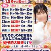 ヒメ日記 2026/09/18 08:01 投稿 神谷和花 ハールブルク