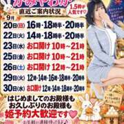 ヒメ日記 2026/09/20 08:01 投稿 神谷和花 ハールブルク
