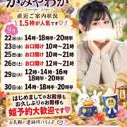 ヒメ日記 2026/09/22 08:02 投稿 神谷和花 ハールブルク