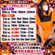 ヒメ日記 2026/09/30 08:01 投稿 神谷和花 ハールブルク