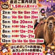 ヒメ日記 2026/10/01 08:01 投稿 神谷和花 ハールブルク