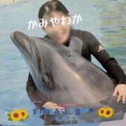 ヒメ日記 2026/10/01 12:07 投稿 神谷和花 ハールブルク
