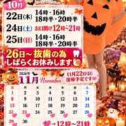 ヒメ日記 2026/10/22 08:02 投稿 神谷和花 ハールブルク