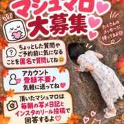 ヒメ日記 2026/10/23 18:31 投稿 神谷和花 ハールブルク