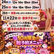 ヒメ日記 2026/10/24 08:02 投稿 神谷和花 ハールブルク