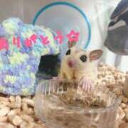 ヒメ日記 2025/02/26 06:05 投稿 はる One More 奥様 鶯谷店