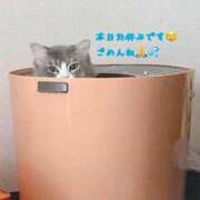 ヒメ日記 2025/08/09 16:35 投稿 はる One More 奥様 鶯谷店