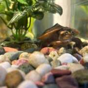 ヒメ日記 2025/09/24 17:05 投稿 はる One More 奥様 鶯谷店