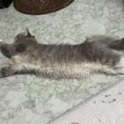 ヒメ日記 2025/09/27 10:43 投稿 はる One More 奥様 鶯谷店