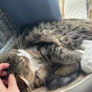 ヒメ日記 2025/09/29 13:15 投稿 はる One More 奥様 鶯谷店