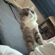 ヒメ日記 2025/11/21 07:50 投稿 はる One More 奥様 鶯谷店