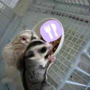 ヒメ日記 2025/12/14 11:50 投稿 はる One More 奥様 鶯谷店