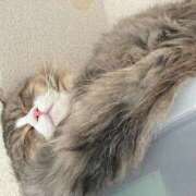 ヒメ日記 2025/12/17 14:10 投稿 はる One More 奥様 鶯谷店