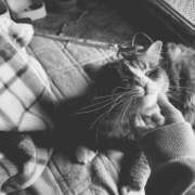 ヒメ日記 2025/12/26 08:20 投稿 はる One More 奥様 鶯谷店