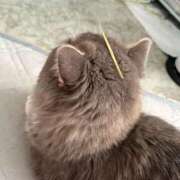 ヒメ日記 2026/01/31 19:30 投稿 はる One More 奥様 鶯谷店