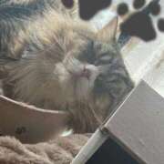 ヒメ日記 2026/02/07 07:00 投稿 はる One More 奥様 鶯谷店