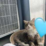 ヒメ日記 2026/02/14 06:20 投稿 はる One More 奥様 鶯谷店