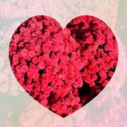 ヒメ日記 2025/02/18 06:40 投稿 富田 えり こあくまな熟女たち三河店（KOAKUMAグループ）