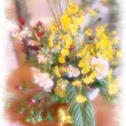 ヒメ日記 2025/02/19 09:42 投稿 富田 えり こあくまな熟女たち三河店（KOAKUMAグループ）