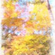 ヒメ日記 2025/02/24 09:15 投稿 富田 えり こあくまな熟女たち三河店（KOAKUMAグループ）