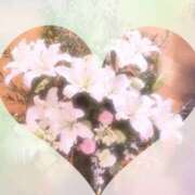 ヒメ日記 2025/03/04 06:54 投稿 富田 えり こあくまな熟女たち三河店（KOAKUMAグループ）