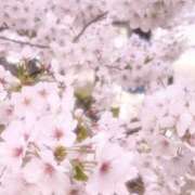 ヒメ日記 2025/03/17 12:50 投稿 富田 えり こあくまな熟女たち三河店（KOAKUMAグループ）