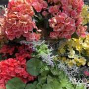 ヒメ日記 2025/05/02 18:06 投稿 富田 えり こあくまな熟女たち三河店（KOAKUMAグループ）