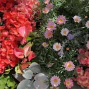 ヒメ日記 2025/05/11 13:28 投稿 富田 えり こあくまな熟女たち三河店（KOAKUMAグループ）