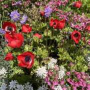 ヒメ日記 2025/06/08 16:21 投稿 富田 えり こあくまな熟女たち三河店（KOAKUMAグループ）