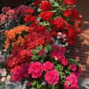 ヒメ日記 2025/06/12 23:28 投稿 富田 えり こあくまな熟女たち三河店（KOAKUMAグループ）